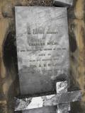 image of grave number 379328